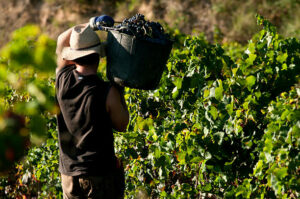 Agriculture en Espagne