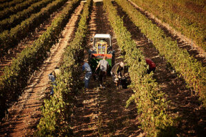 Agriculture en Espagne