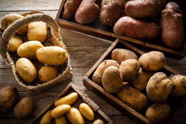 Pomme de Terre en Espagne