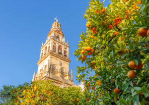 Giralda de Séville