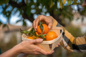 Mandarine en Espagne